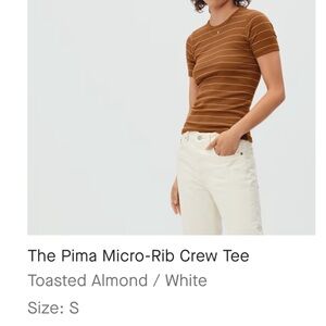 The Pima Micro-Rib Crew Tee - Small